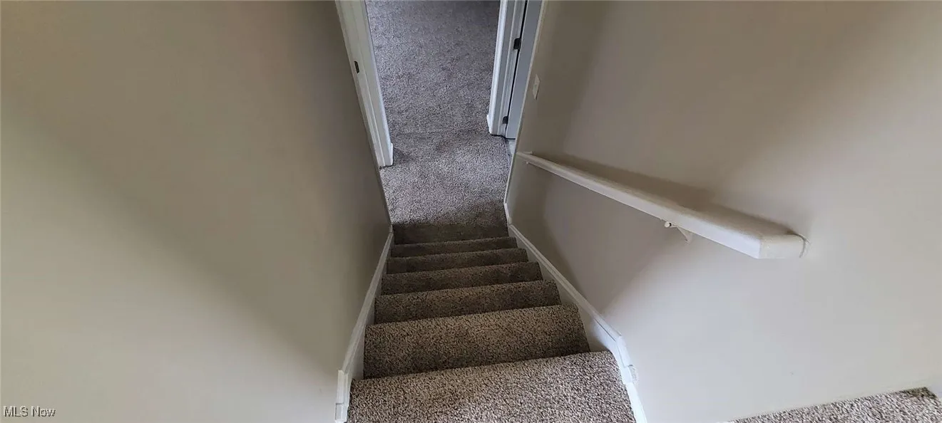 Stairs featuring carpet flooring