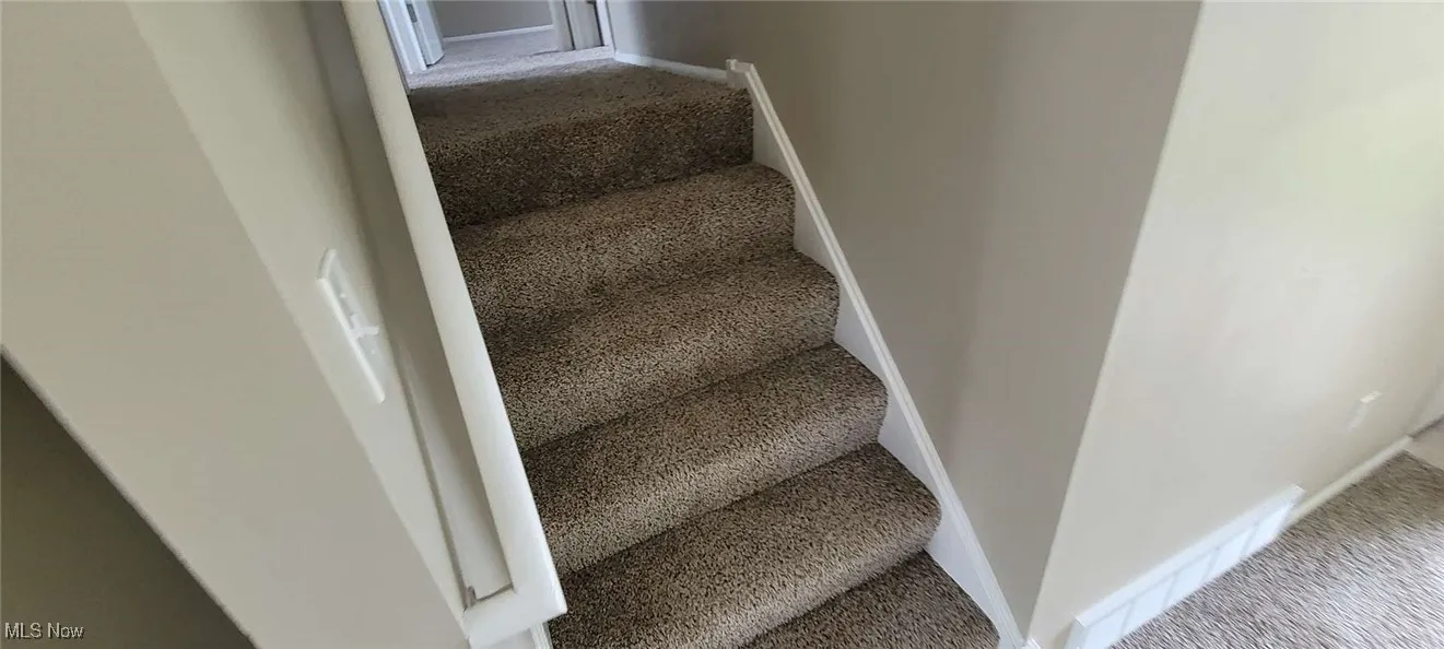 Stairs with carpet floors and baseboards