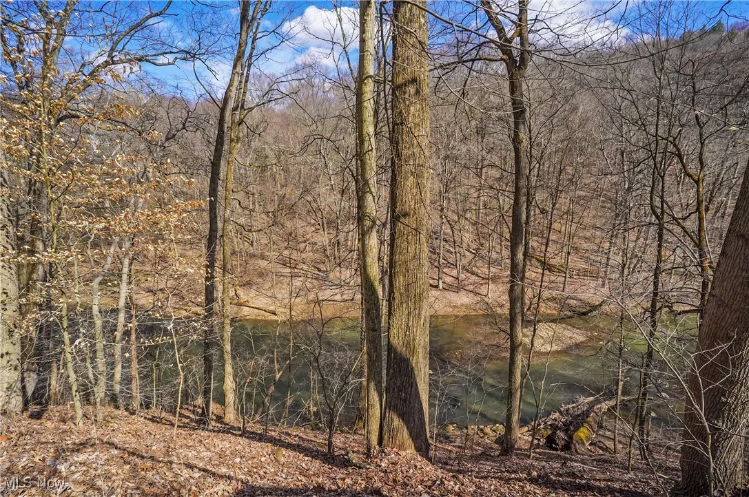 View of local wilderness with a forest view