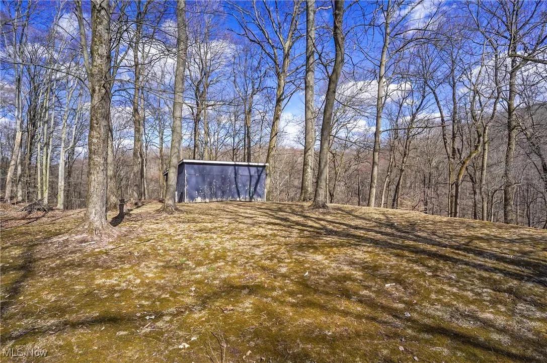 View of yard with an outbuilding and a view of trees