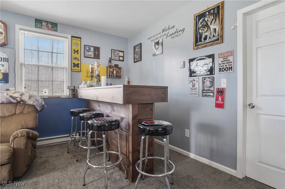 Bar with a bar, baseboards, a baseboard radiator, and carpet