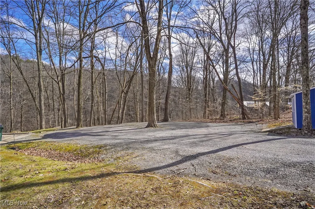 View of street with a wooded view