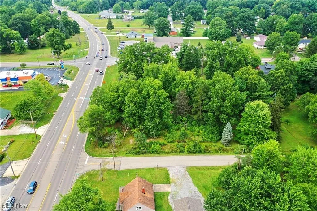 View of bird's eye view