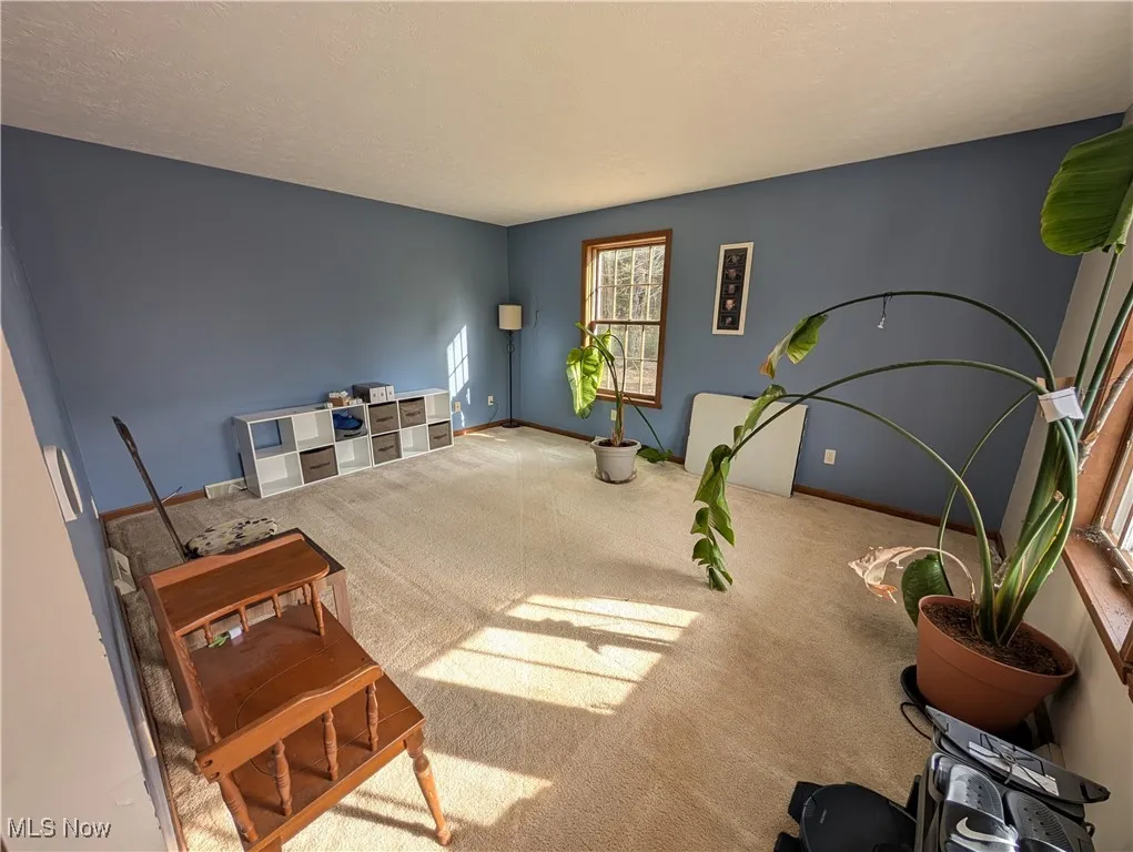 5400 Arbor Drive, Kingsville, Ohio,MLS Now Listing ID