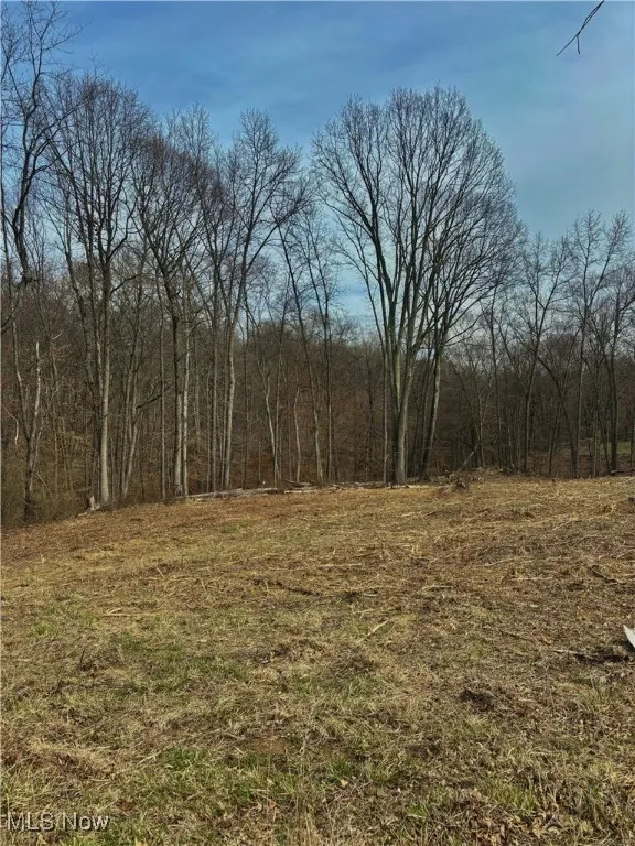 View of local wilderness featuring a forest view