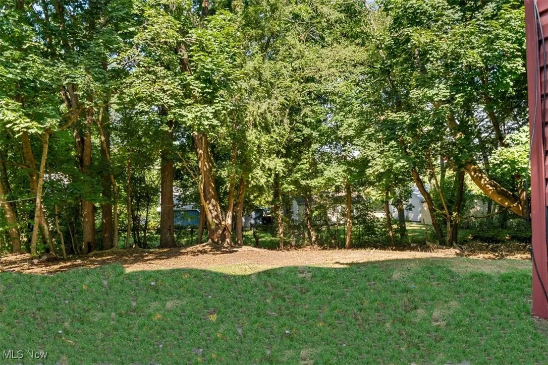 View of green lawn
