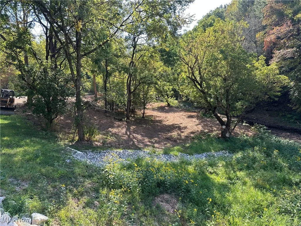 001 River Road, Walton, West Virginia 25286,MLS Now Listing ID