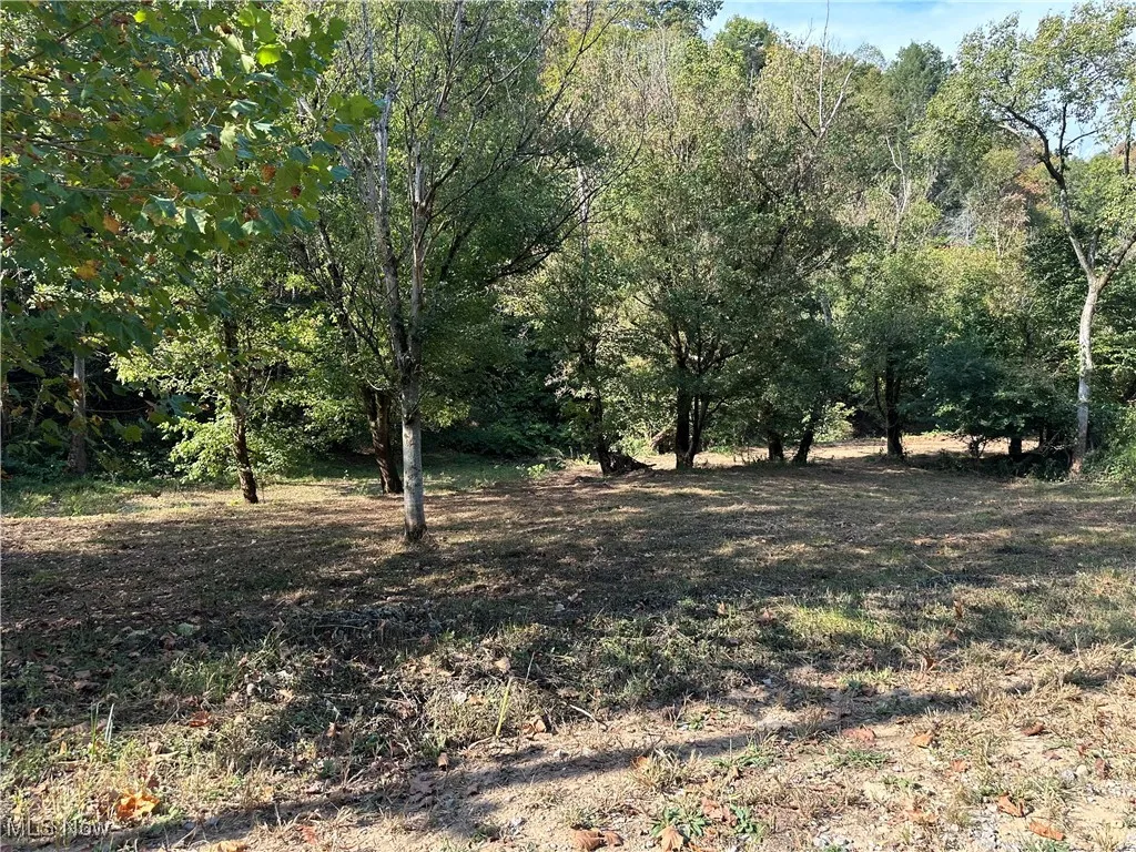 001 River Road, Walton, West Virginia 25286,MLS Now Listing ID