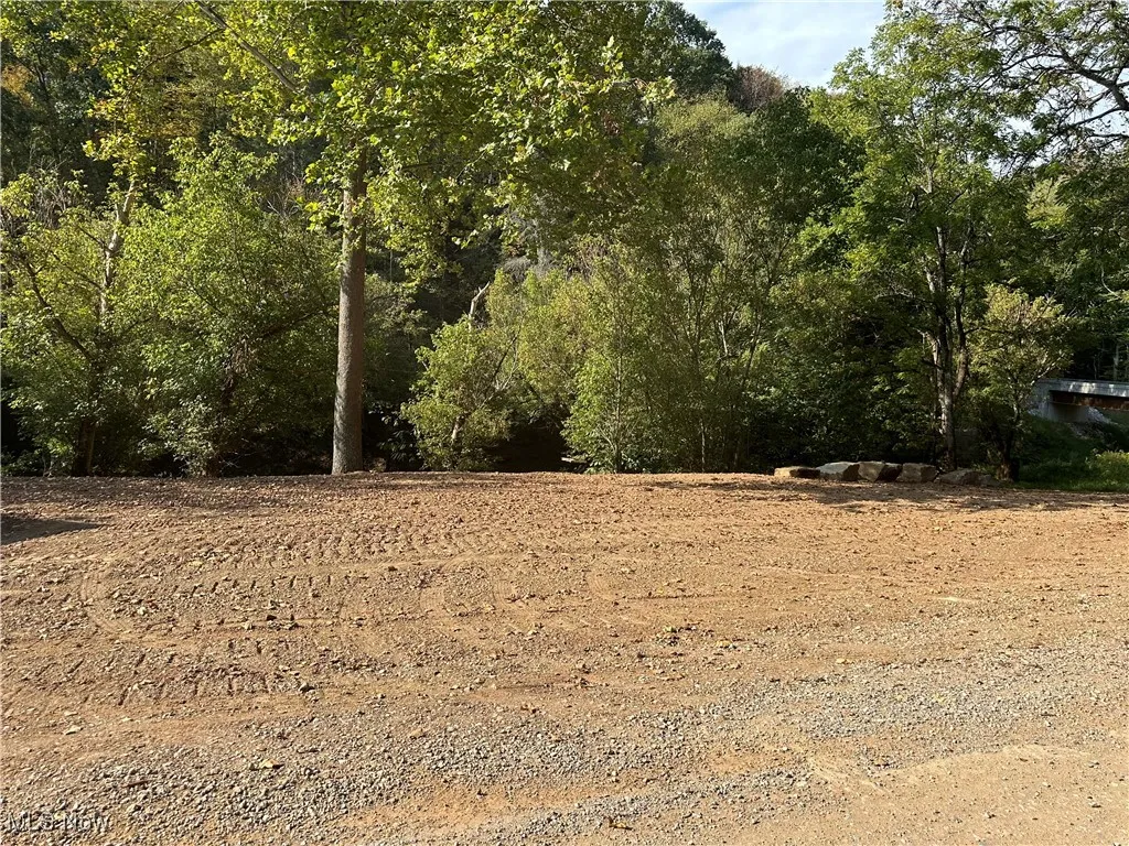 001 River Road, Walton, West Virginia 25286,MLS Now Listing ID