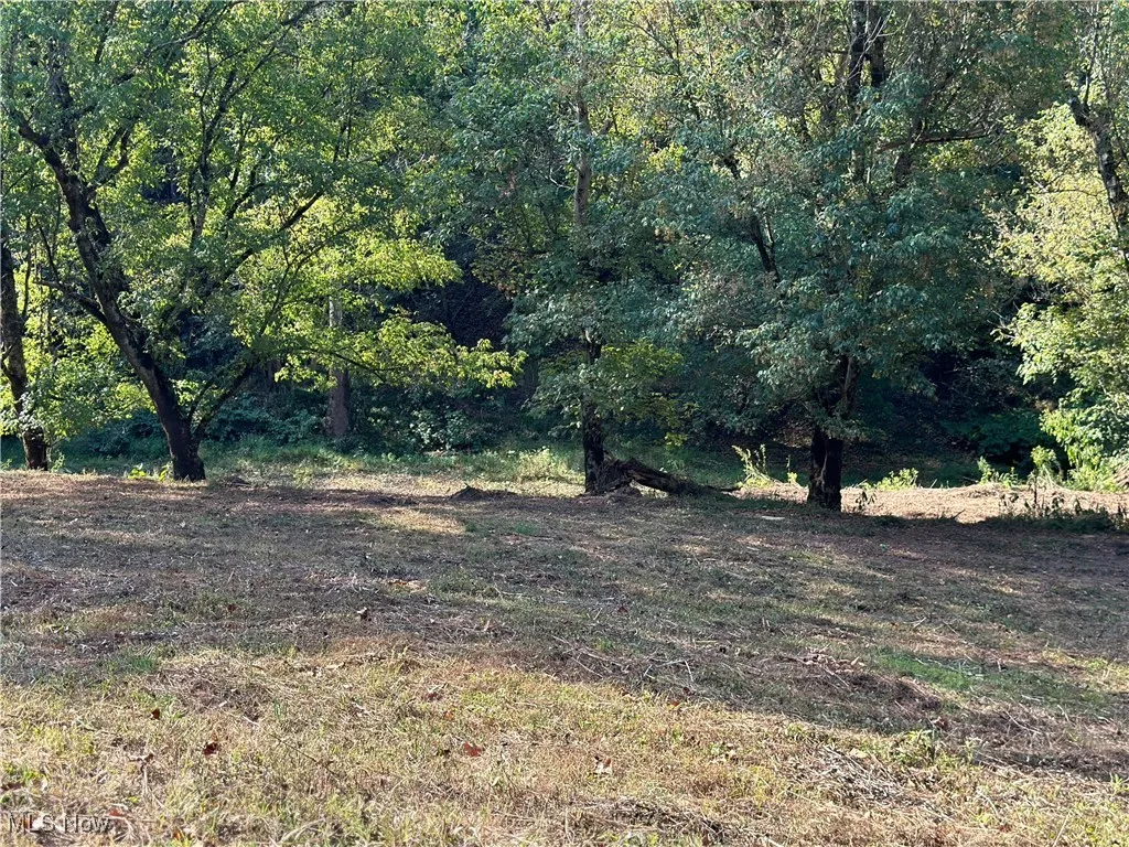 001 River Road, Walton, West Virginia 25286,MLS Now Listing ID