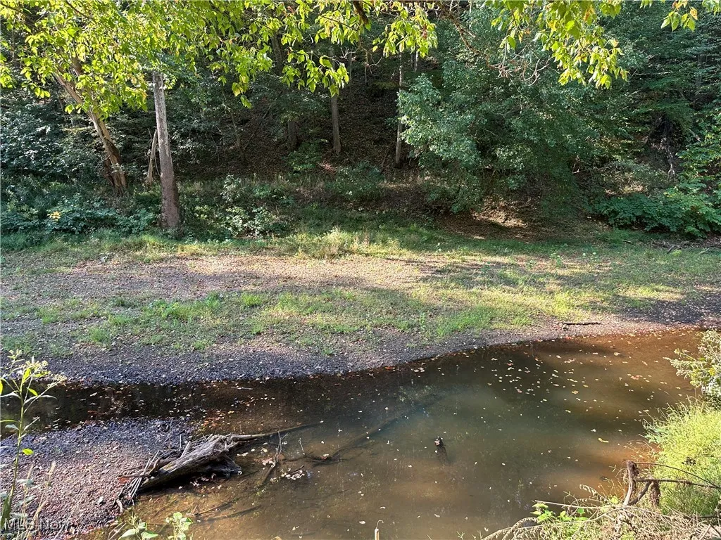 001 River Road, Walton, West Virginia 25286,MLS Now Listing ID