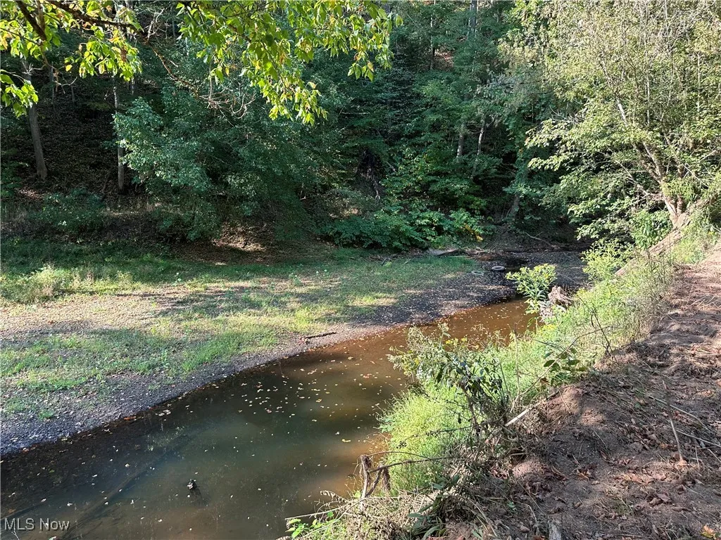 001 River Road, Walton, West Virginia 25286,MLS Now Listing ID