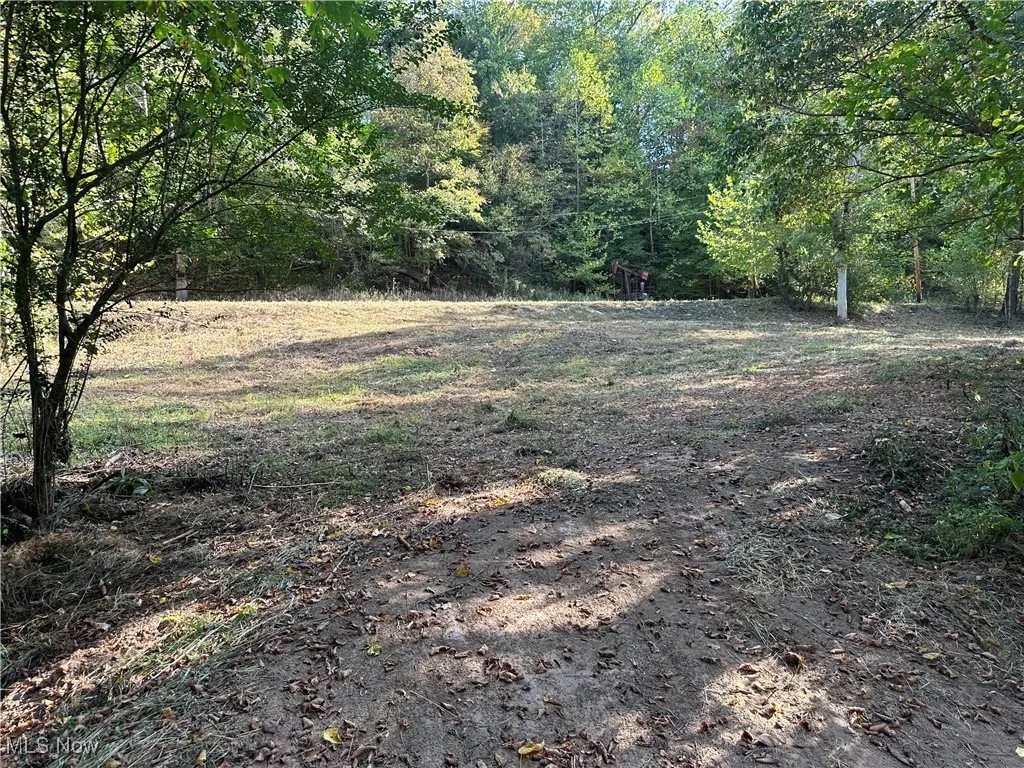 001 River Road, Walton, West Virginia 25286,MLS Now Listing ID