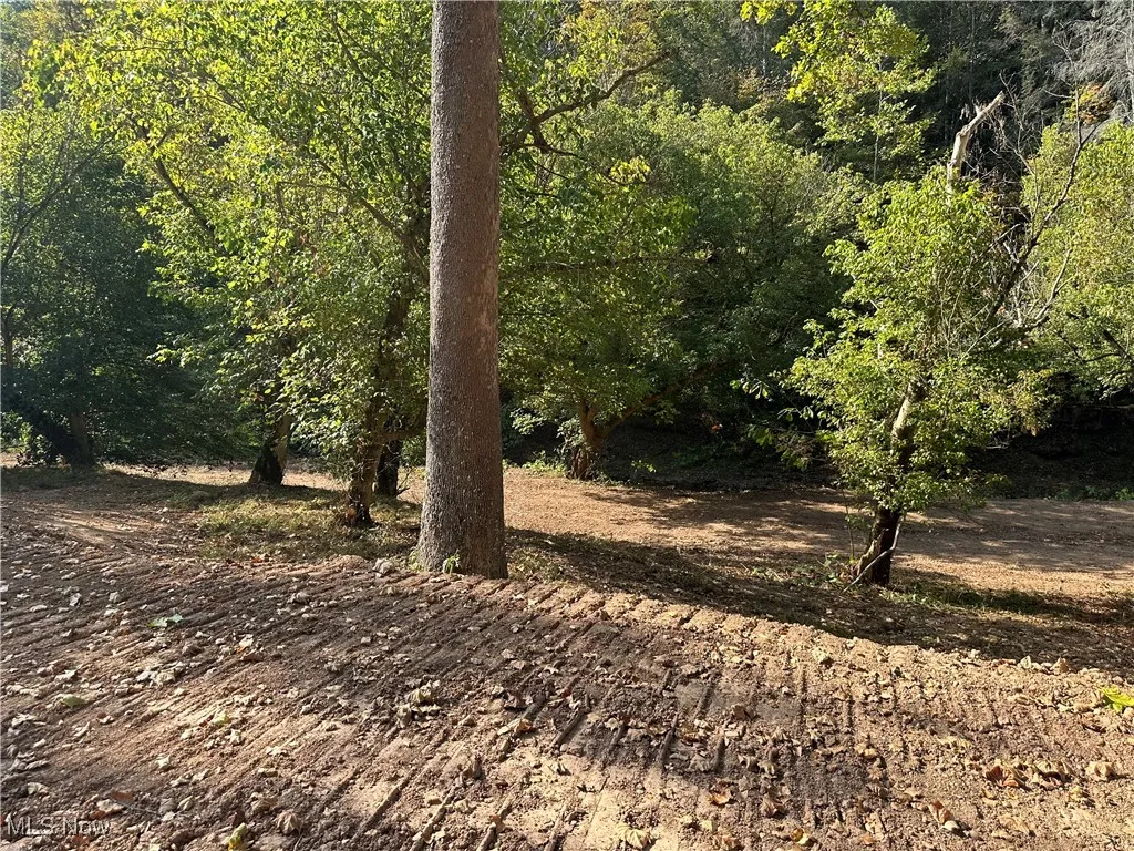 001 River Road, Walton, West Virginia 25286,MLS Now Listing ID