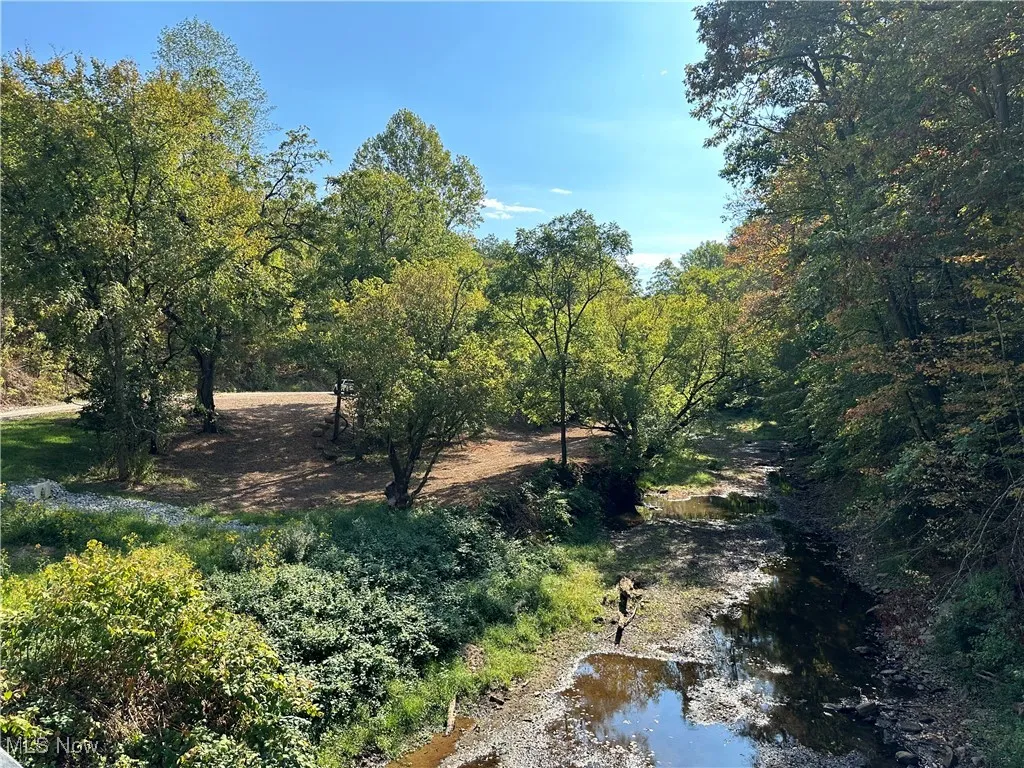 001 River Road, Walton, West Virginia 25286,MLS Now Listing ID