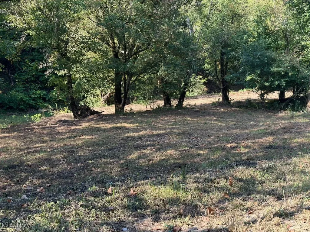 001 River Road, Walton, West Virginia 25286,MLS Now Listing ID