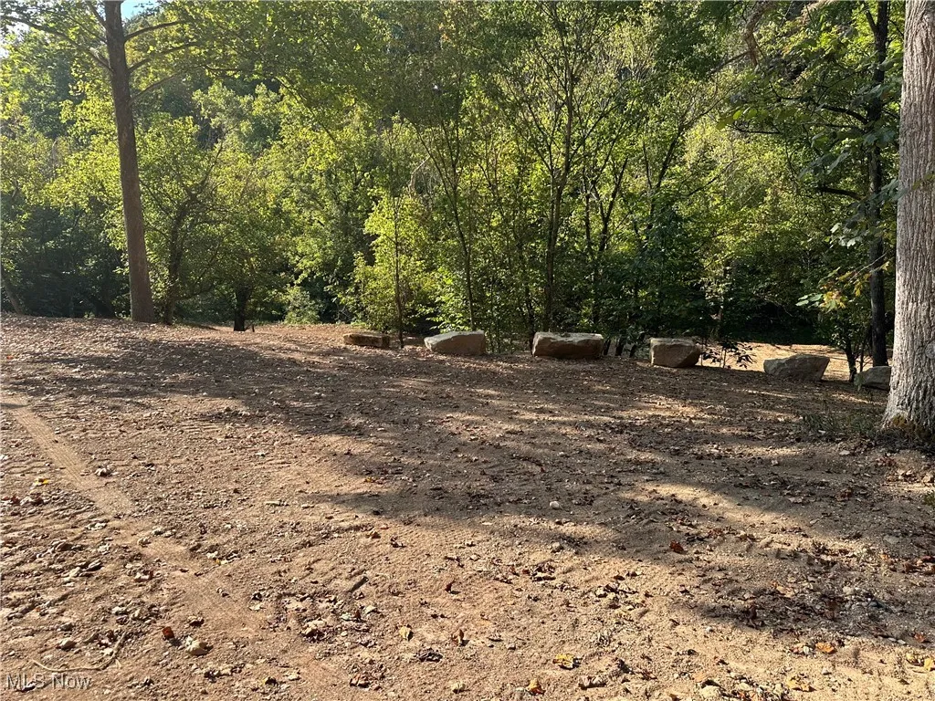 001 River Road, Walton, West Virginia 25286,MLS Now Listing ID