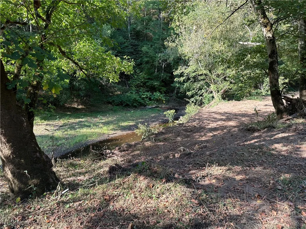 001 River Road, Walton, West Virginia 25286,MLS Now Listing ID