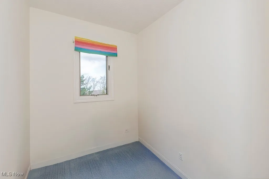 Empty room featuring baseboards and carpet floors