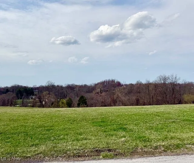 View of yard featuring a rural view and a view of trees