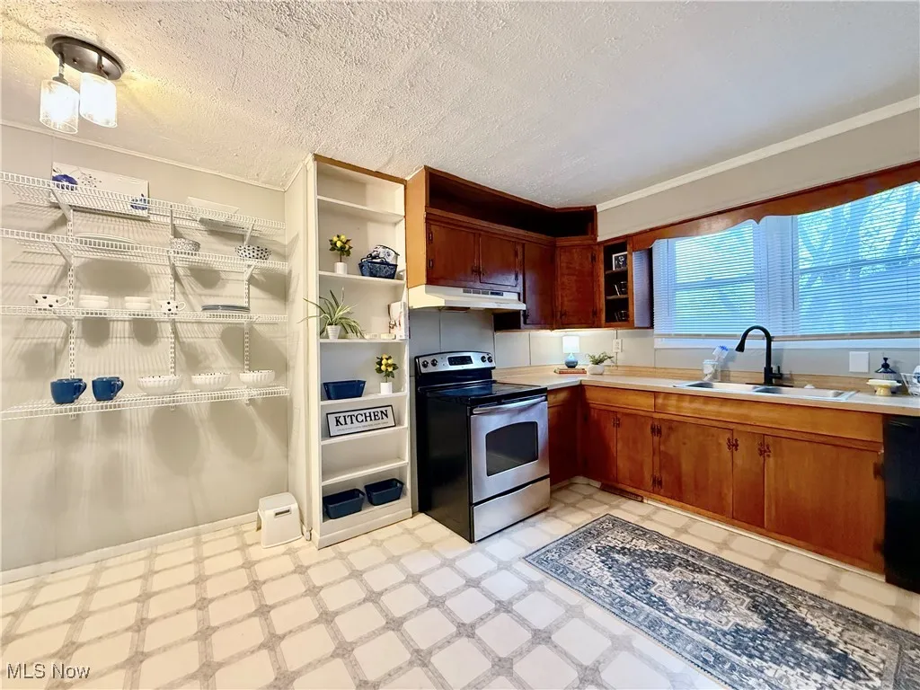 Alternate Kitchen View
