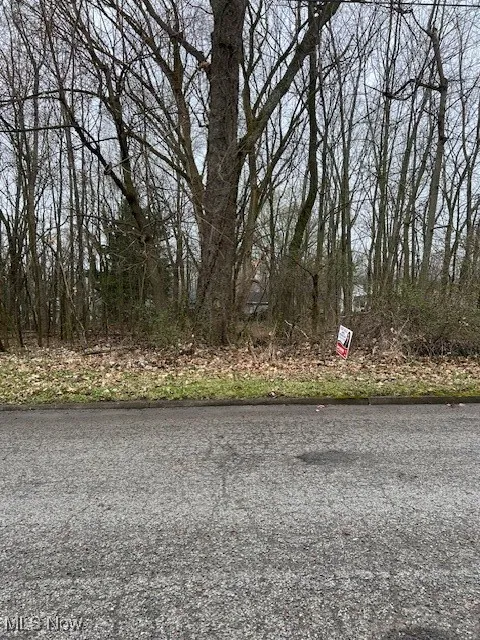 View of road