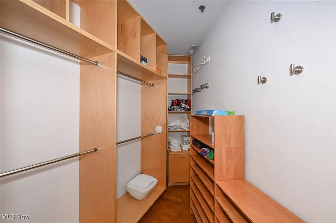 Walk in closet featuring dark wood-style flooring