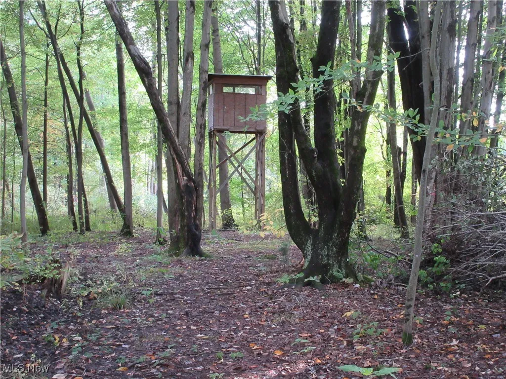 Hunting Blind