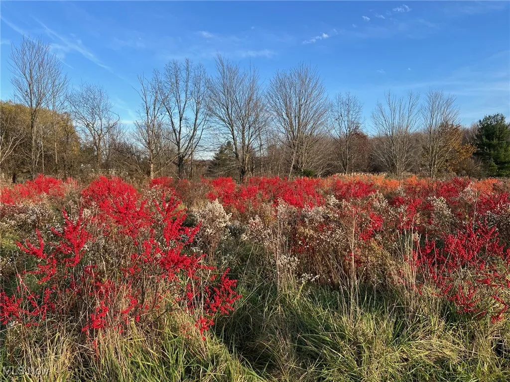6232 Weaver Road, Conneaut, Ohio,MLS Now Listing ID