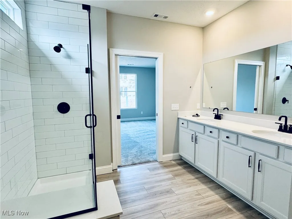 Owner's en-suite bathroom with tiled walk-in shower