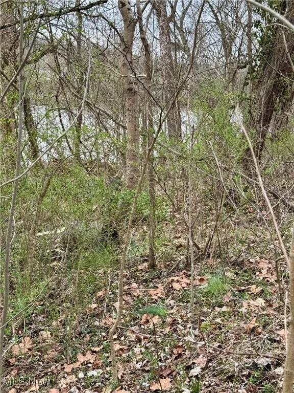Oh-669, Mcconnelsville, Ohio,MLS Now Listing ID