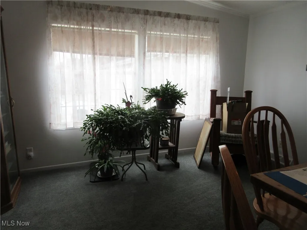 5372 Slater Road, Williamsfield, Ohio,MLS Now Listing ID