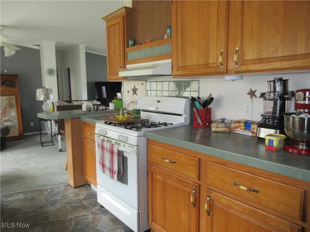 5372 Slater Road, Williamsfield, Ohio,MLS Now Listing ID