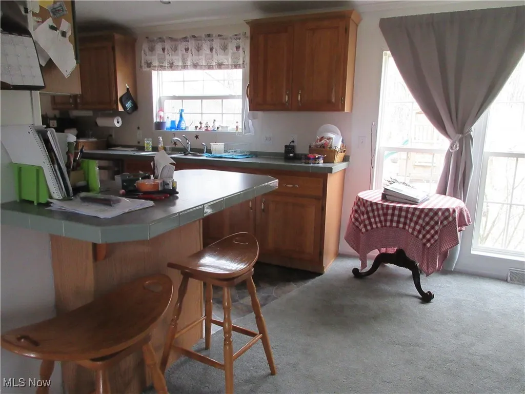 5372 Slater Road, Williamsfield, Ohio,MLS Now Listing ID