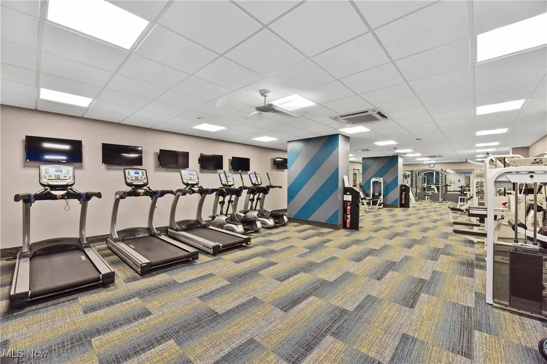 Exercise room featuring visible vents, carpet, and a drop ceiling