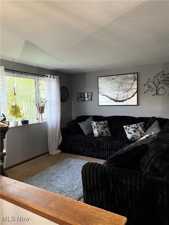 Carpeted living room featuring baseboards and a textured ceiling