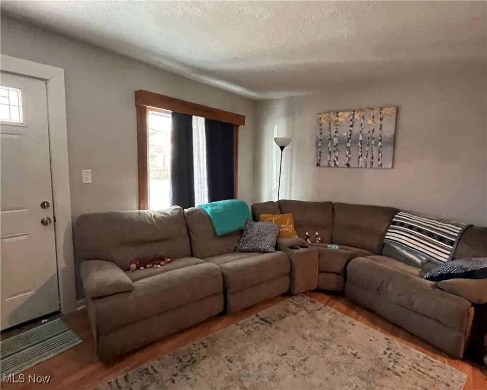 Living room featuring wood finished floors and a healthy amount of sunlight