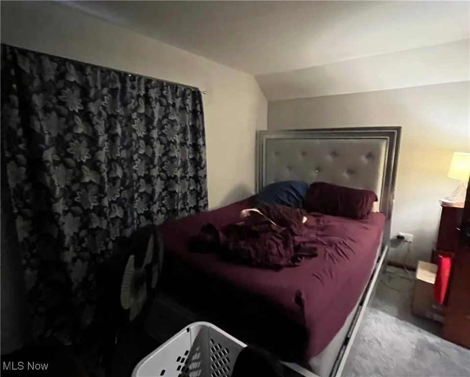 Bedroom featuring carpet floors and vaulted ceiling