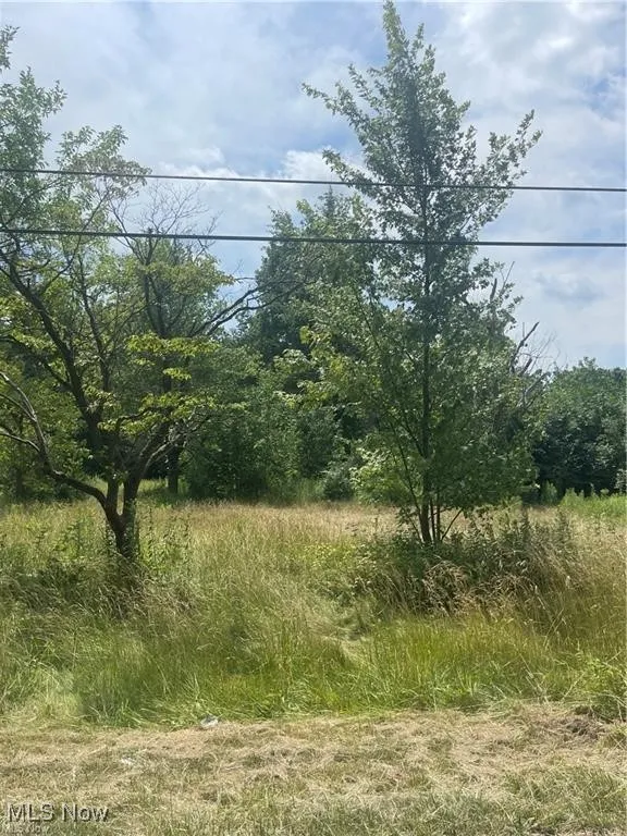 1354 Brimfield Drive, Kent, Ohio 44240,MLS Now Listing ID