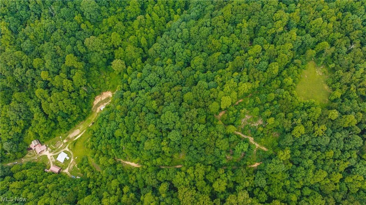 1000 Coon Fork Road, Arnoldsburg, West Virginia,MLS Now Listing ID