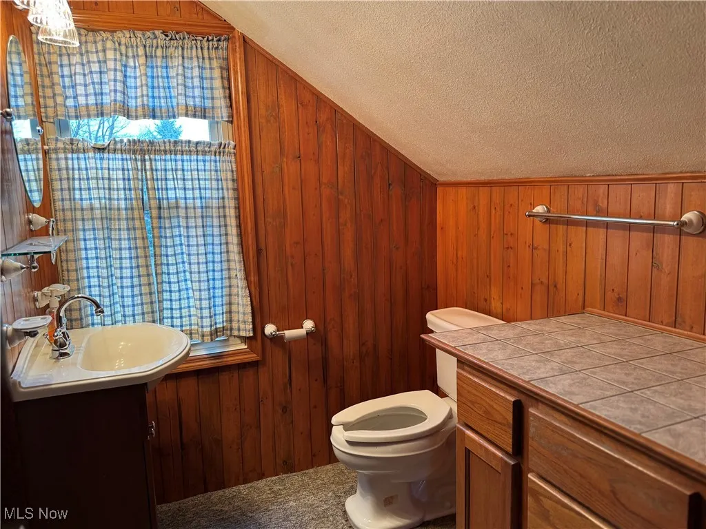 Half bath featuring a textured ceiling, wood walls, toilet, vanity, and lofted​​‌​​​​‌​​‌‌​‌‌​​​‌‌​‌​‌​‌​​​‌​​ ceiling