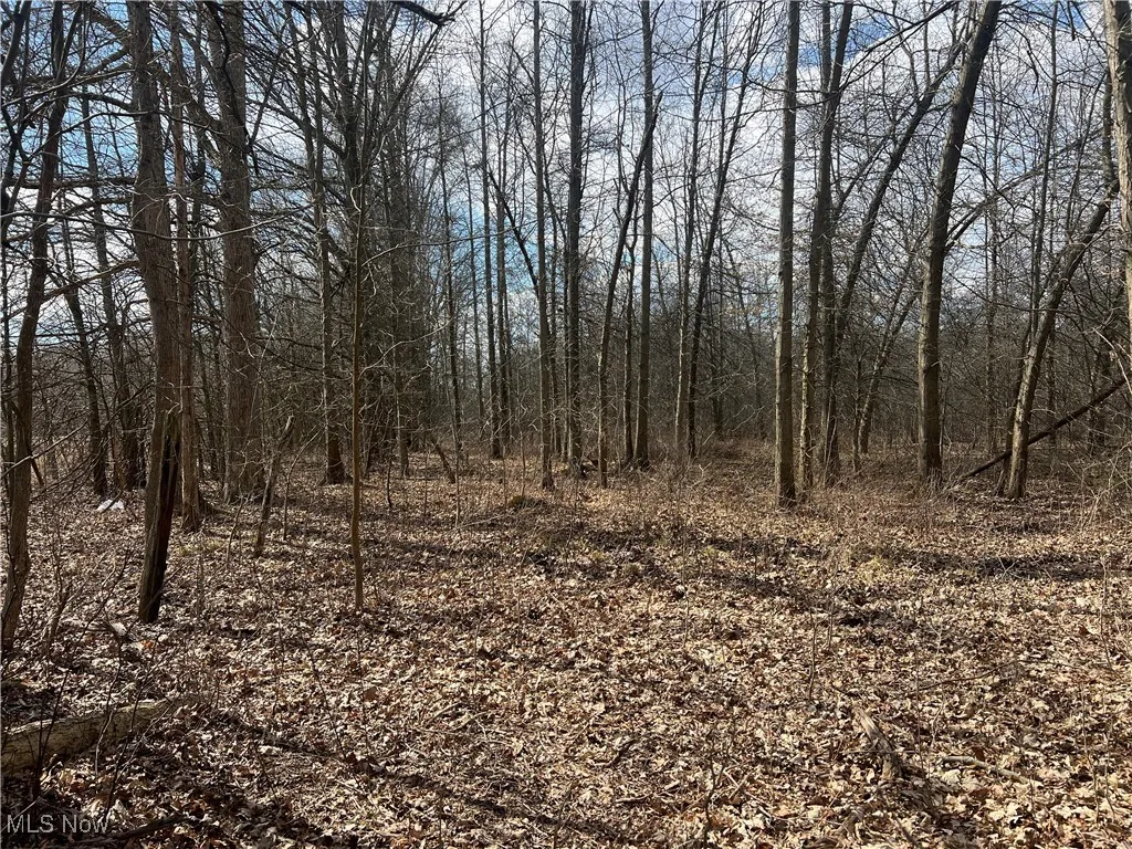 4427 US Route 322, Orwell, Ohio,MLS Now Listing ID