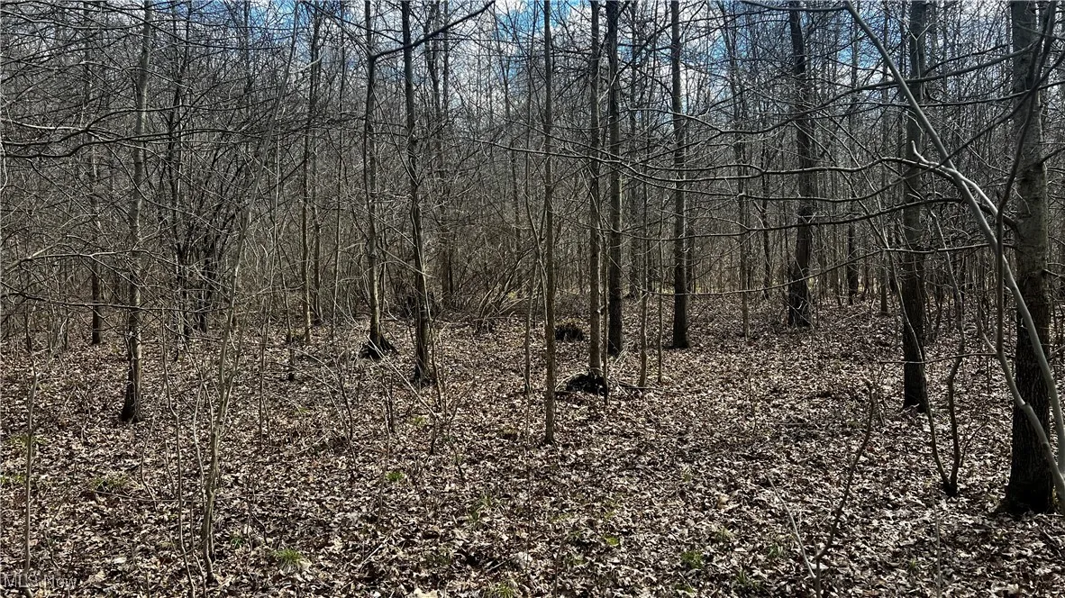 4427 US Route 322, Orwell, Ohio,MLS Now Listing ID