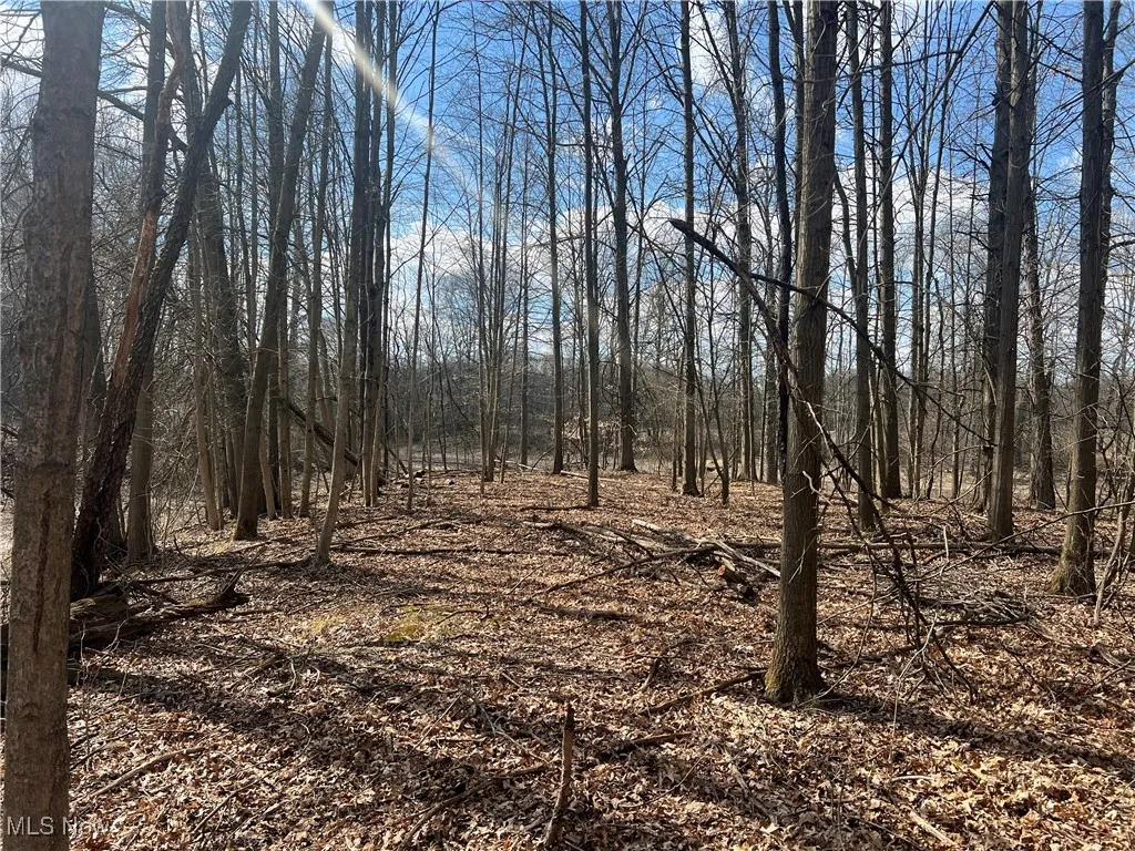 4427 US Route 322, Orwell, Ohio,MLS Now Listing ID