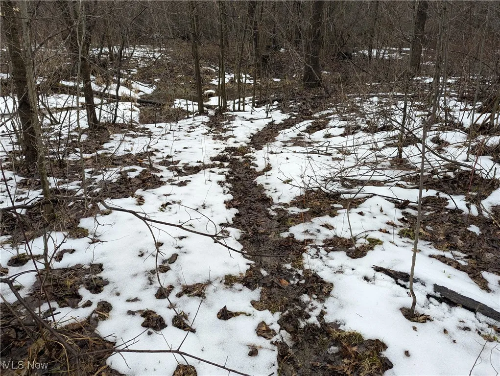 4427 US Route 322, Orwell, Ohio,MLS Now Listing ID