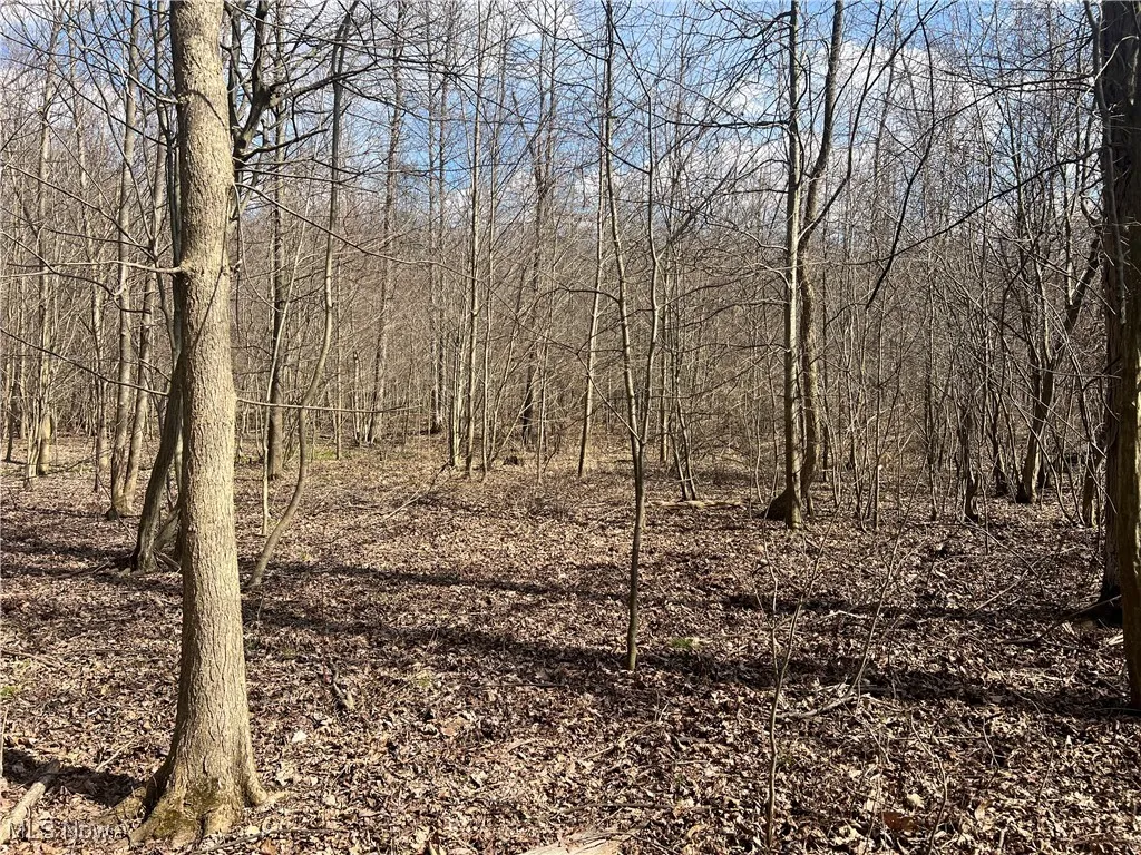 4427 US Route 322, Orwell, Ohio,MLS Now Listing ID