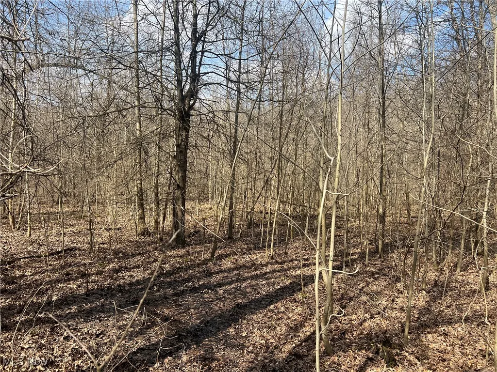 4427 US Route 322, Orwell, Ohio,MLS Now Listing ID