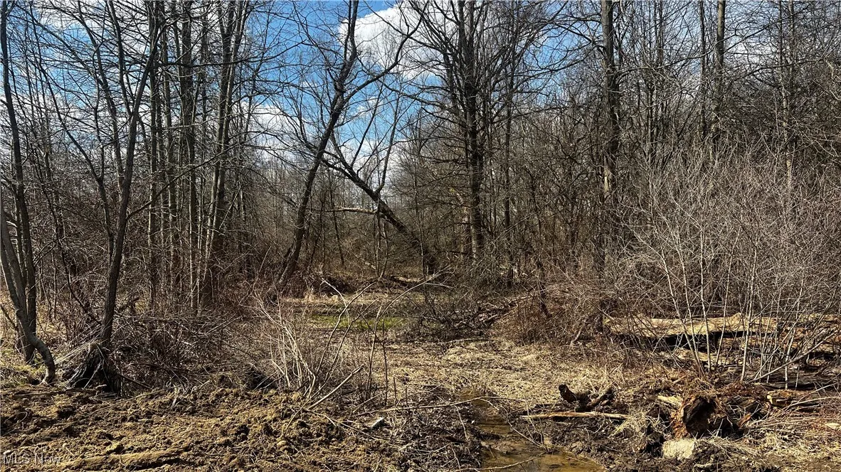 4427 US Route 322, Orwell, Ohio,MLS Now Listing ID