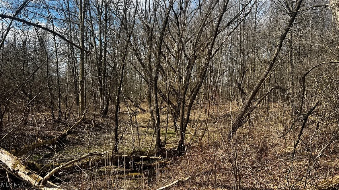 4427 US Route 322, Orwell, Ohio,MLS Now Listing ID