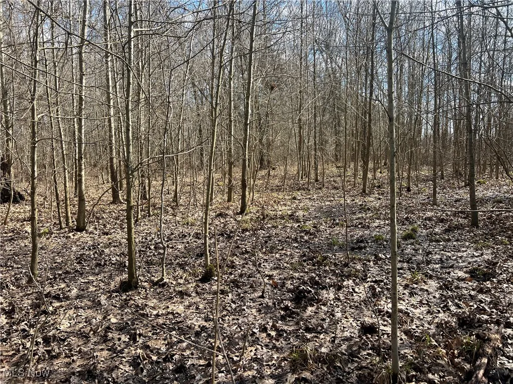 4427 US Route 322, Orwell, Ohio,MLS Now Listing ID